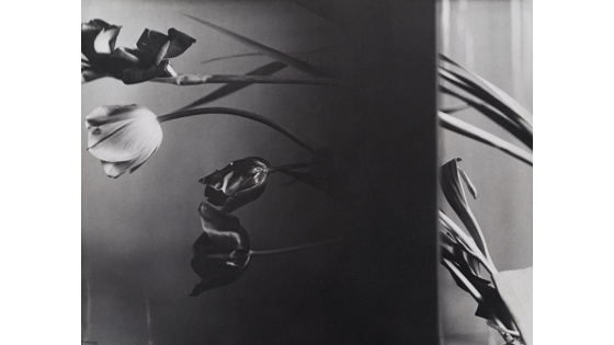 Florence Henri. Mirror of the avant-garde 1927-1940 - Amalia